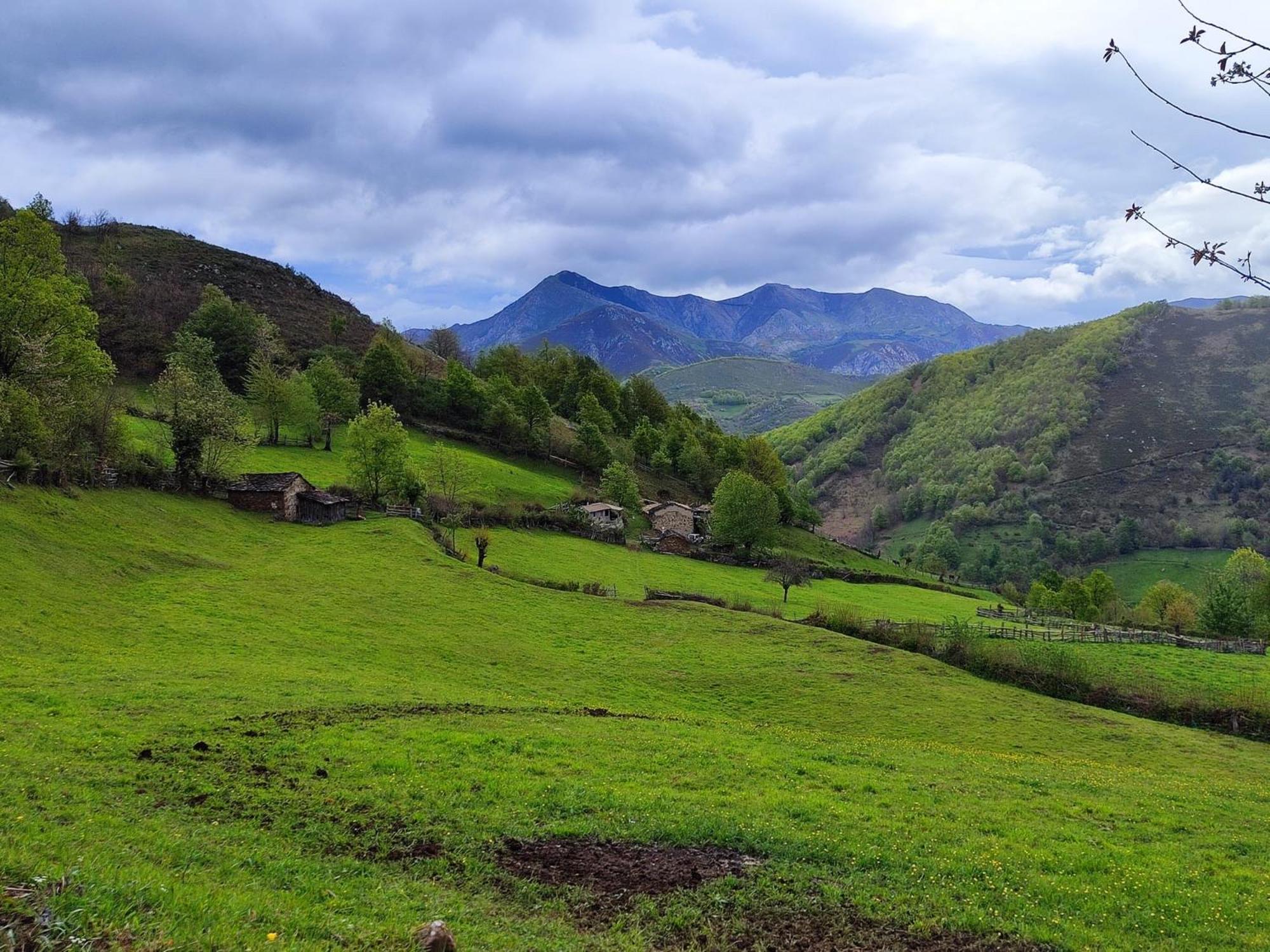 El Corral De Baxo Villa Felechosa Eksteriør billede